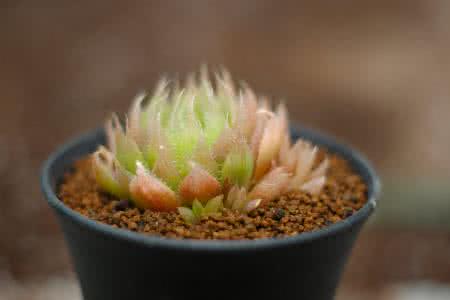 ںӹ2ȷ1֢״Ⱦг̹켣