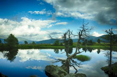 Ԥ񲿶20251120()3ʱŷ